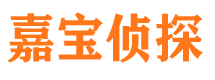 渭城侦探公司